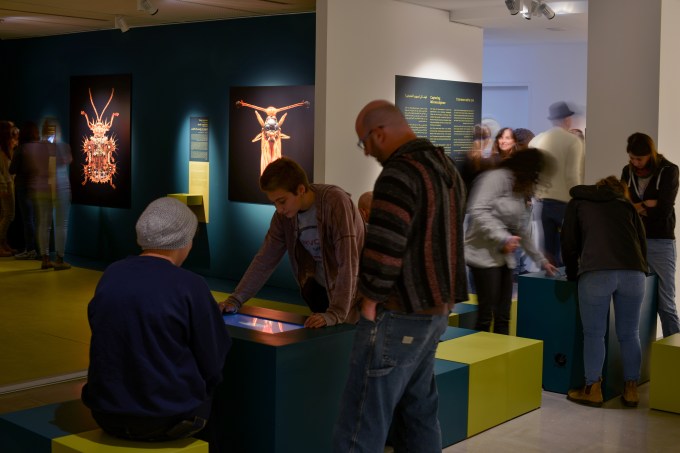 חרקים וגדול, מוזיאון הטבע עײש שטיינהרדט. צילום_ שי בן אפרים.jpg